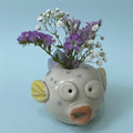 Lucky Fish