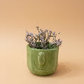 Lulu Pot