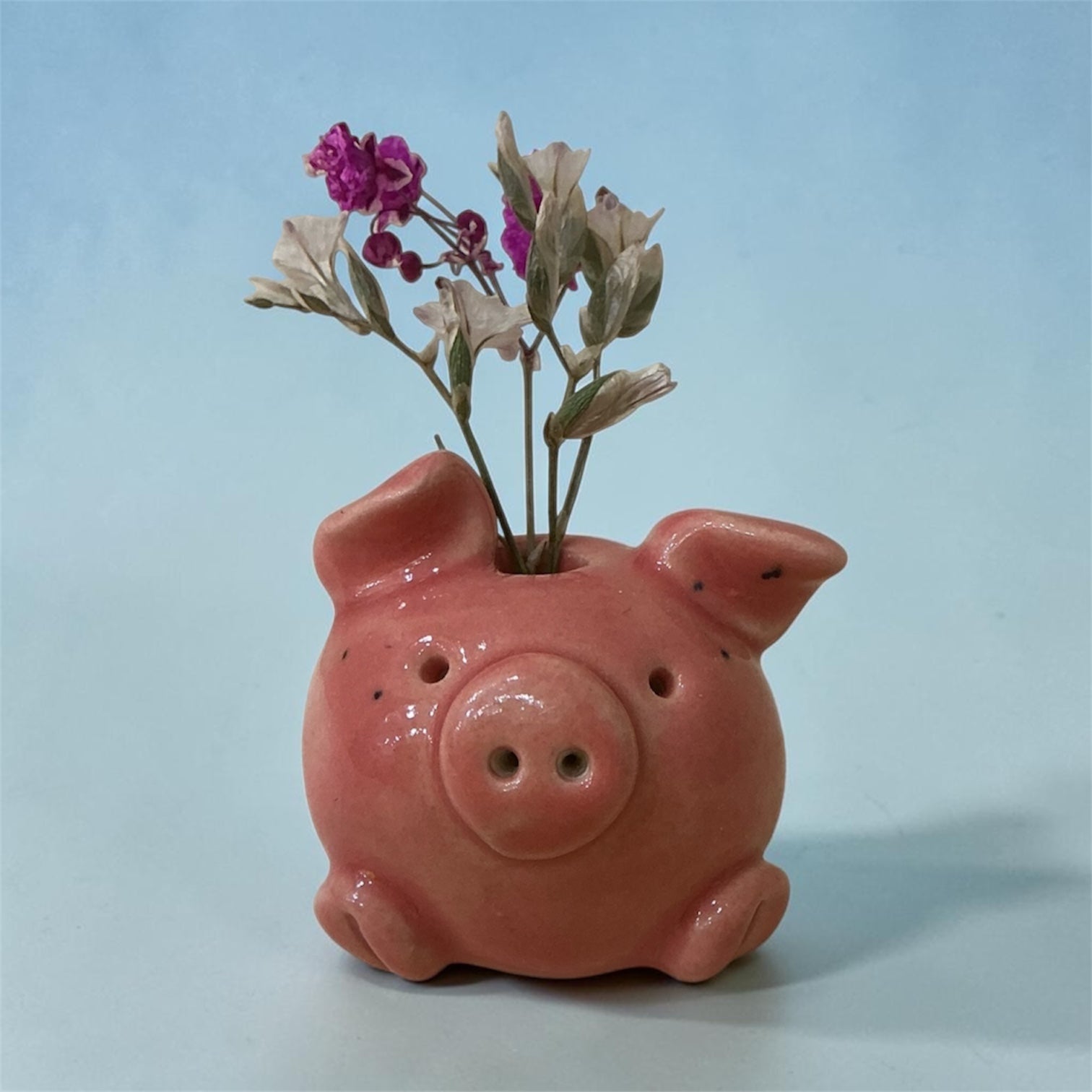 Lucky Pig