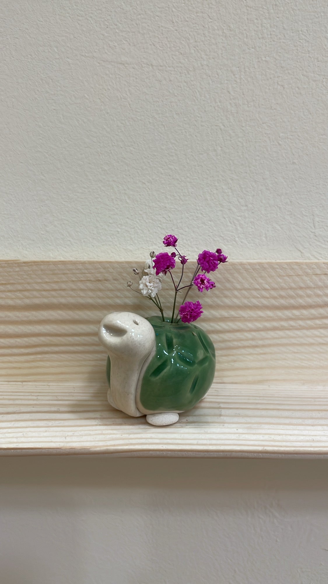 Lucky Turtle