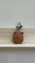 Lucky Pig