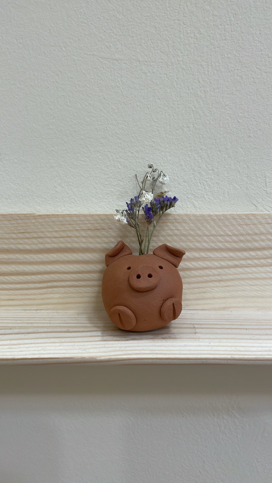 Lucky Pig
